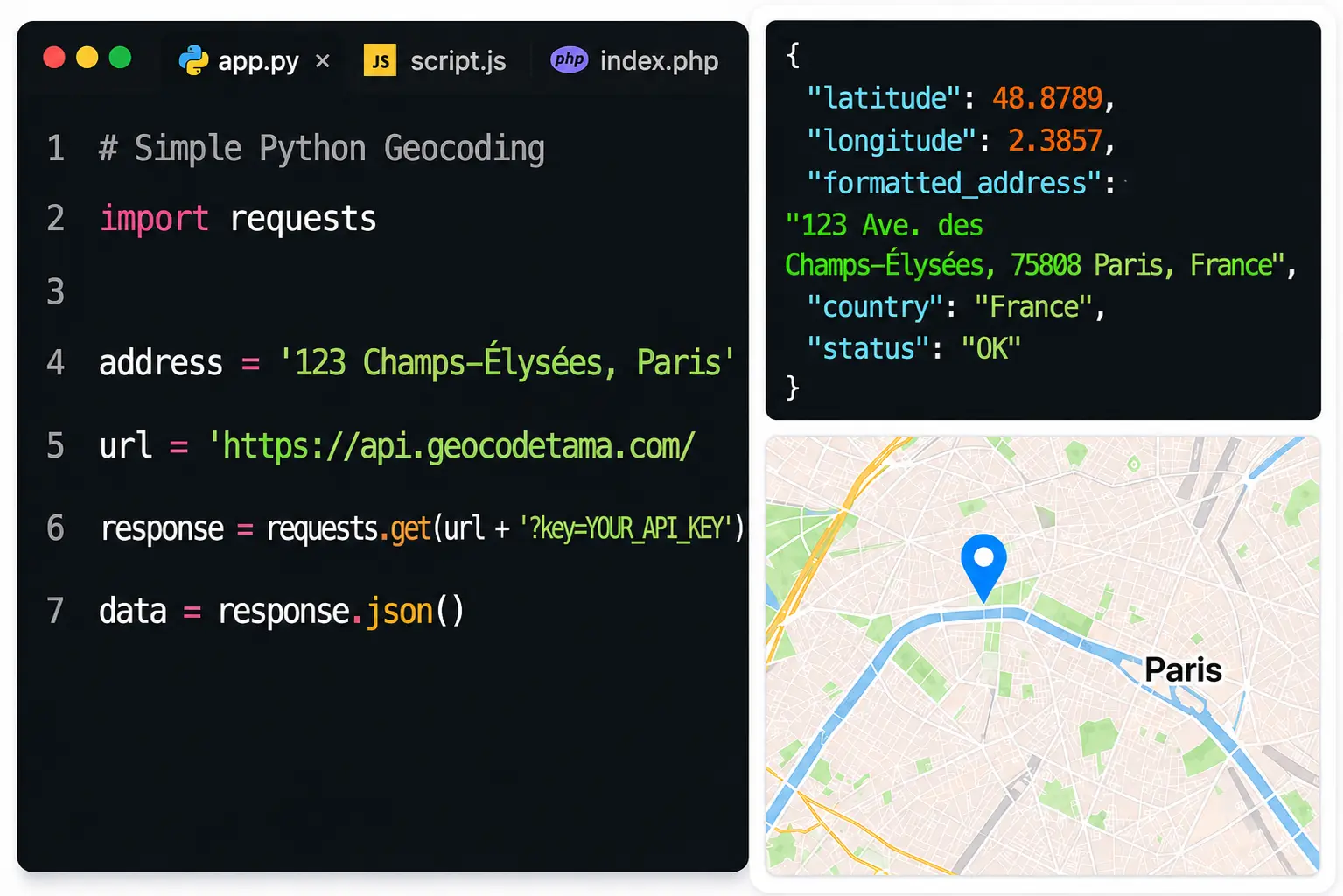 Simple python geocoding example demonstrating forward geocoding an address in Paris